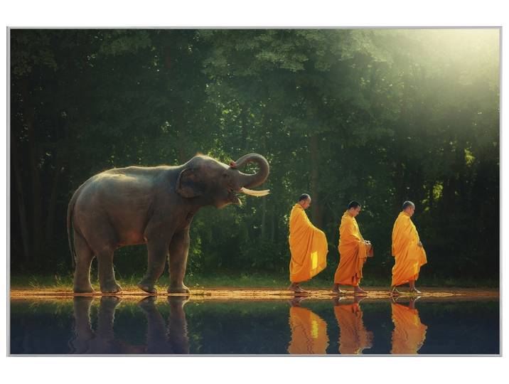 Bild mit Rahmen Mönchwanderung mit Elefant image LAND