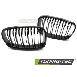 Sportgrill Sportausführung Schwarz glänzend Doppelsteg passend für BMW F20 / F21 11-14