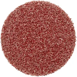 Pferd, Schleifmittel, PSA 20 A 80 42832108 Schleifblatt Körnung num 80 (Ø) 20 mm 100 St. (80)