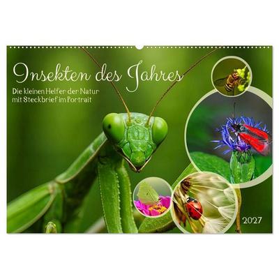 Insekt des Jahres (Wandkalender 2027 DIN A2 quer), CALVENDO Monatskalender