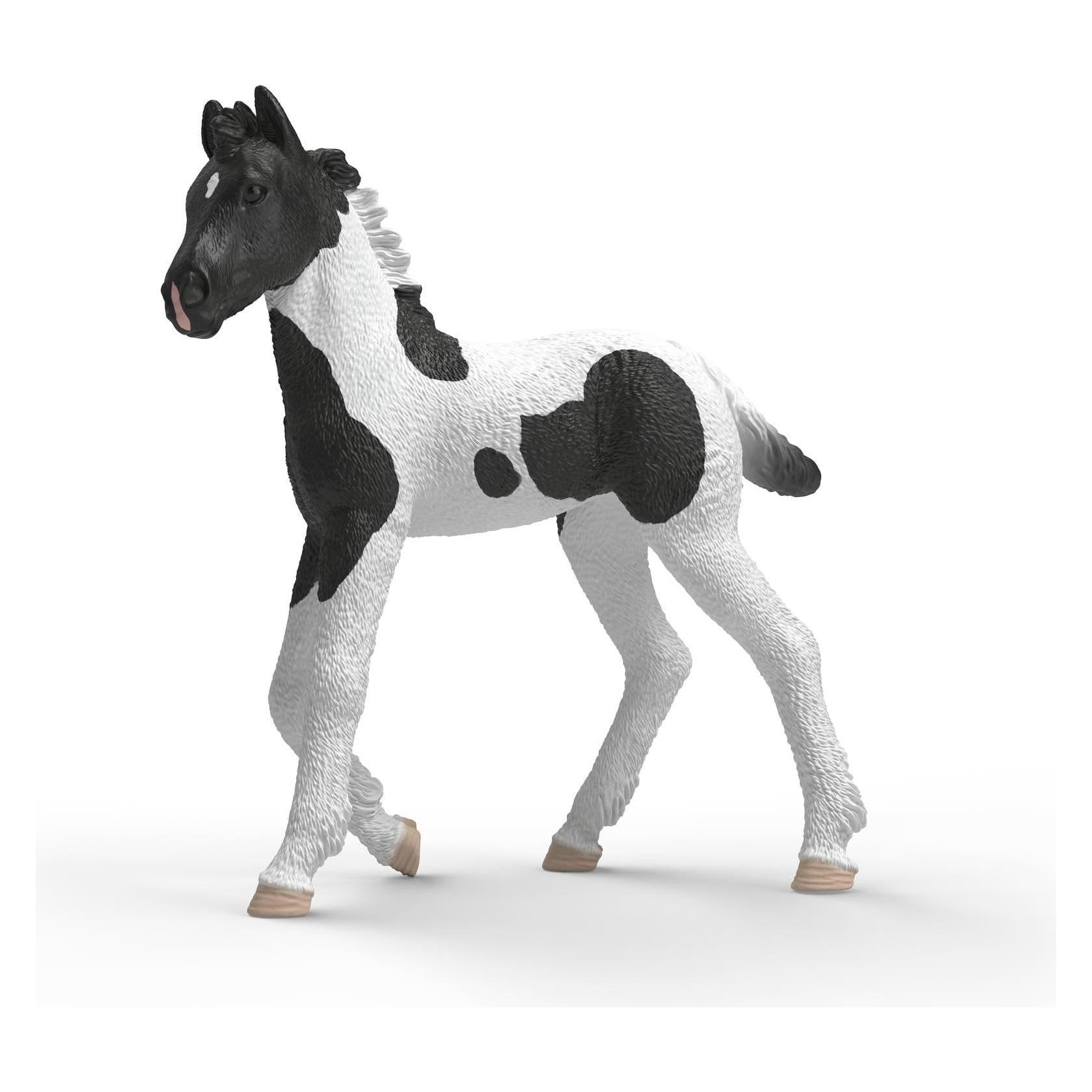 Schleich Sammelfohlen Rocky (81481)