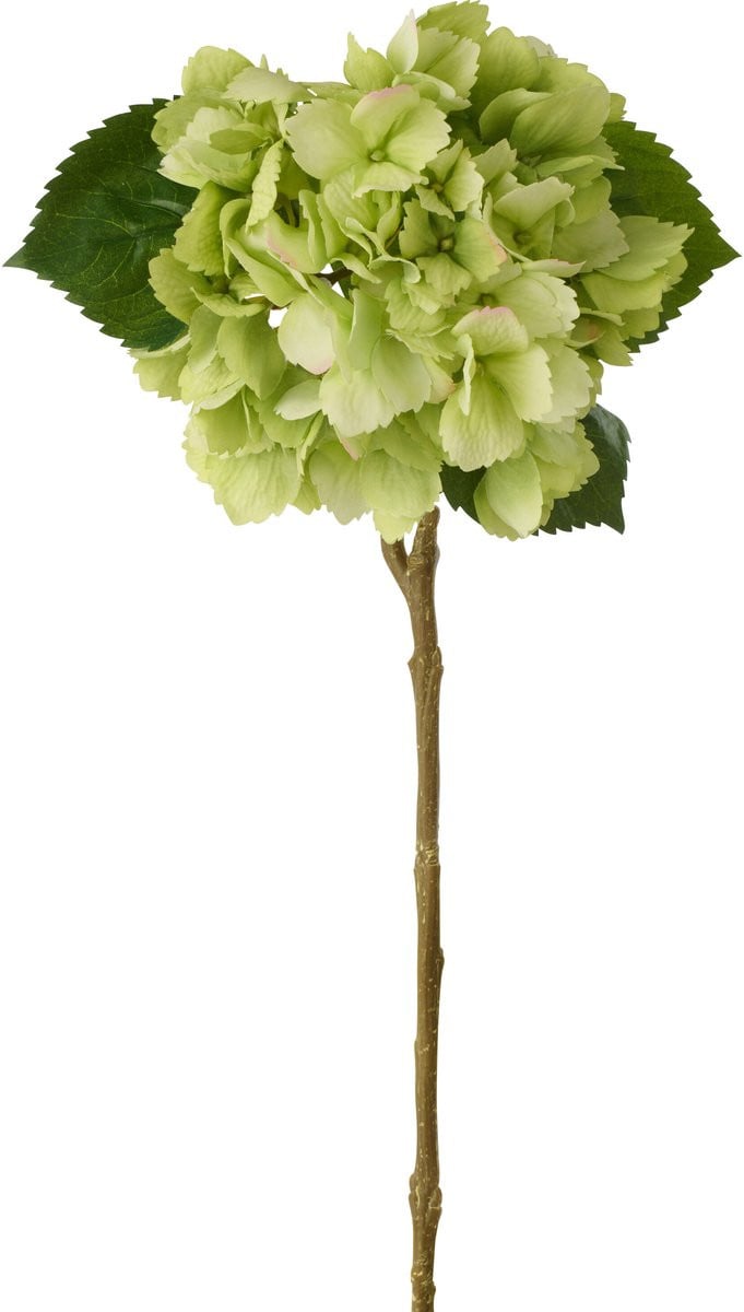 J-Line Hortensia Echt Gevoel Kunststof Groen 4 stuks
