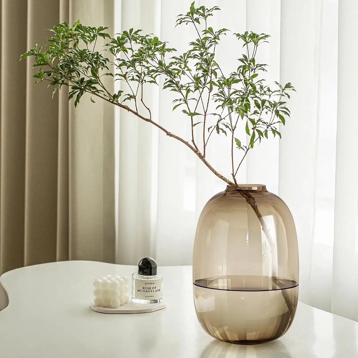 ZOQENX Transparante rookglas vaas met smalle hals, Hoogte: 25,5 cm