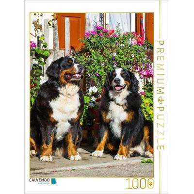 CALVENDO Puzzle Berner Sennenhunde vor einem Bauernhaus | 1000 Teile Lege-Größe 64x48cm Foto-Puzzle für glückliche Stunden