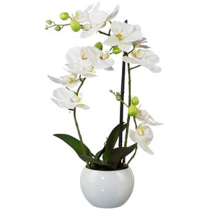 Creativ-green Kunstblume Orchidee, Phalaenopsis, 3D-print, weiß, im Keramik-Topf, Höhe 42 cm
