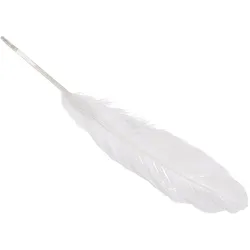 5x Knorr Prandell, Naturmaterialien, Gänsefedern ca. 16 - 21cm weiss VE=8 Stück
