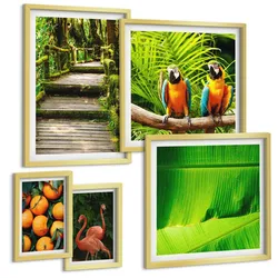 BILDER SET 5er Set - 50x50 cm & 20x30 cm & 40x60 cm Goldrahmen - Fruchtige Akzente der Tropen