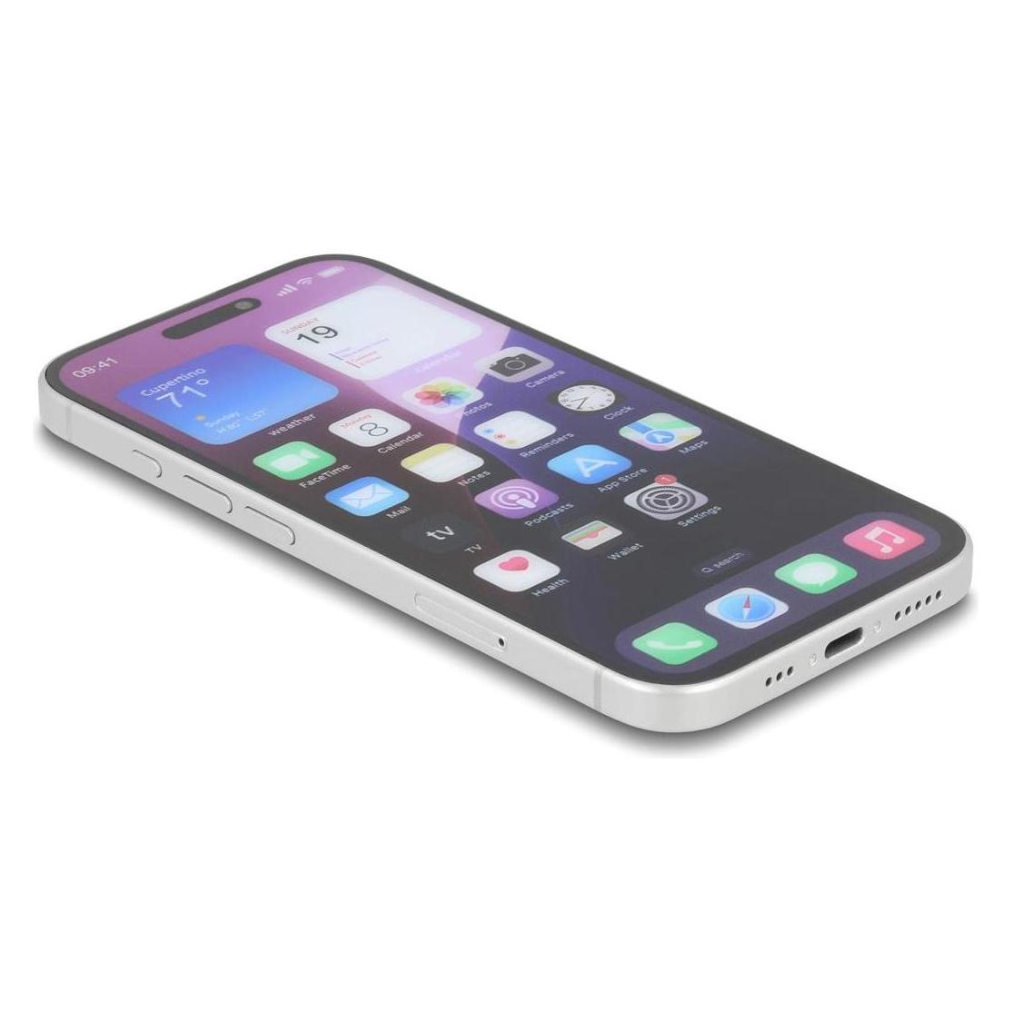 Delock Schutzfolie für iPhone 17 mit Sichtschutz aus gehärtetem Glas Anti Spy 2 Wege Blickschutz mit Insta (1 Stk., Apple iPhone 17) (81649)
