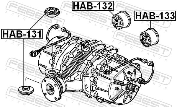 Febest Lagerung, Differential Hab-131 Vorne Für Honda
