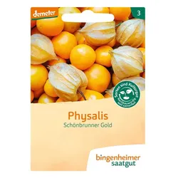 Physalis - Schönbrunner Gold