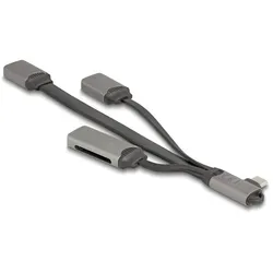 DeLOCK 64303 Schnittstellen-Hub USB 3.2 Gen 1 (3.1 Gen 1) Type-C 5000 Mbit/s Grau