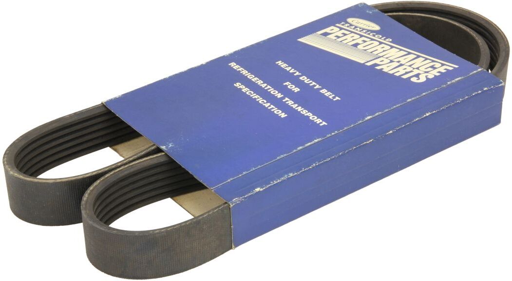 Carrier Cinghia Poly-V 50-60358-00