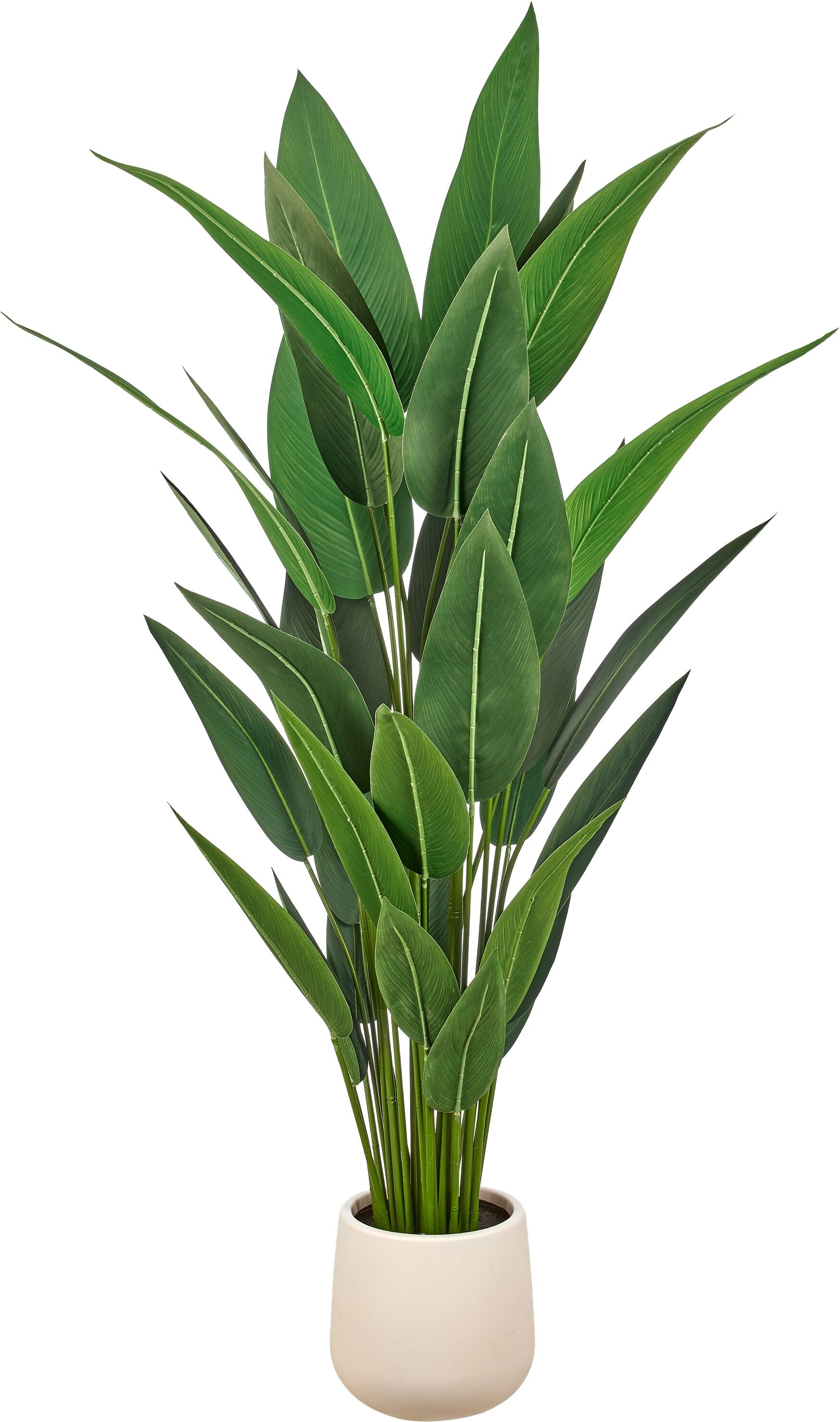 Kunstpflanze CREATIV GREEN "Strelitzia reginae", grün, H:175cm, Obermaterial: 100% Kunststoff, Kunstpflanzen, Kunstpflanze, in beeindruckender Größe