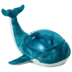 Cloud B, Nachtlicht, Tranquil Whale