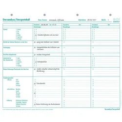 BOI Formular Sturzanalyse/-protokoll
