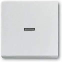 Busch-Jaeger Wippe Aluminium-Silber 1789 N-83