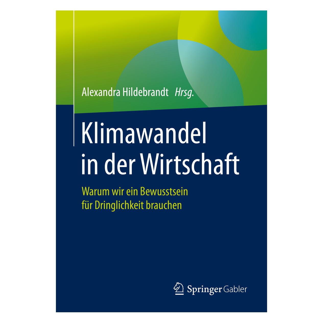 Springer Klimawandel in der Wirtschaft (Deutsch, Softcover, Alexandra Hildebrandt) (56101878)