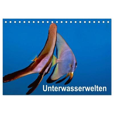 Unterwasserwelten (Tischkalender 2027 DIN A5 quer), CALVENDO Monatskalender