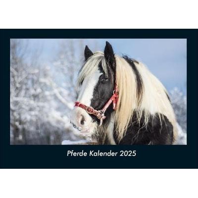Pferde Kalender 2025 Fotokalender DIN A4