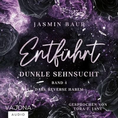 Dunkle Sehnsucht - Jasmin Baur, Audio, 4099995914658