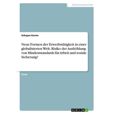 Neue Formen der Erwerbstätigkeit in einer globalisierten Welt. Risiko der Aushöhlung von Mindeststandards für Arbeit und soziale Sicherung?,