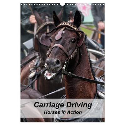Carriage Driving - Horses in Action (Wall Calendar 2027 DIN A3 portrait), CALVENDO 12 Month Wall Calendar