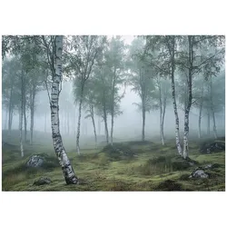 FOTOTAPETE 3D Effekt Wald Birken Wohnzimmer 400x280