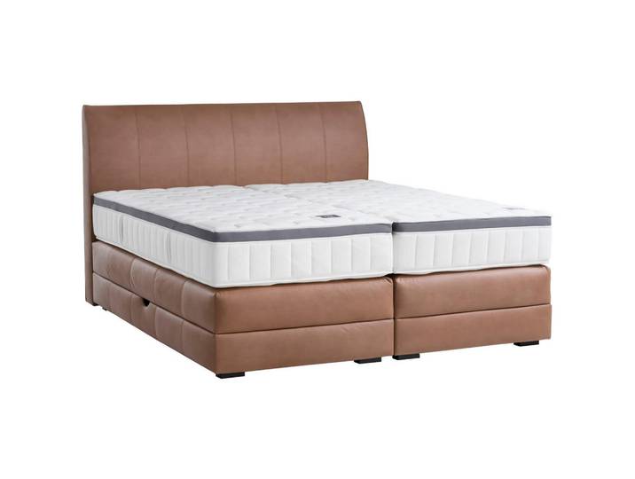 Novel Boxspringbett, Cognac, Holz, Wenge, H3, 7-Zonen, 200x200 cm, Bettkasten, Federkernmatratze, Schlafzimmer, Bett, Doppelbetten