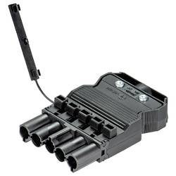 Wieland Electric 92.954.7053.1 Steckverbinder