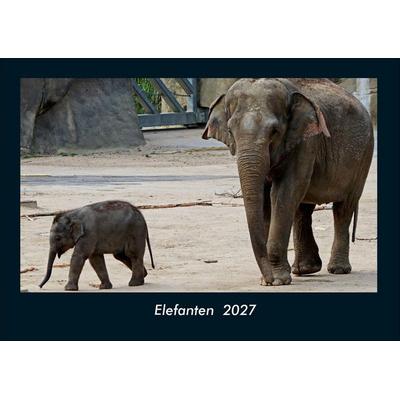 Elefanten 2027 Fotokalender DIN A4