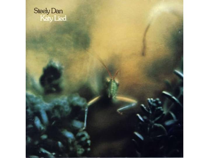 Katy Lied