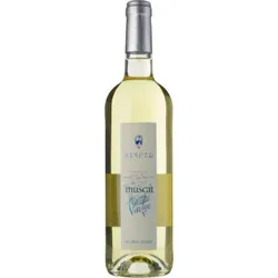 Muscat de Rivesaltes 2025 - Domaine Semper