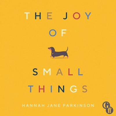 The Joy of Small Things - Hannah Jane Parkinson, Audio, 9781783352388