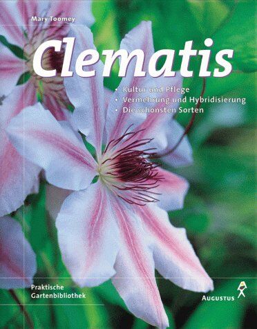 Mary Toomey - Clematis - Preis vom 09.10.2026 07:28:09 h
