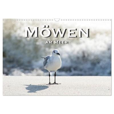 Möwen am Meer (Wandkalender 2027 DIN A3 quer), CALVENDO Monatskalender