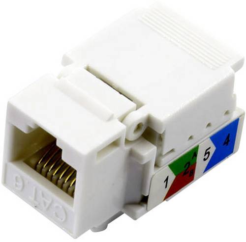TRU Components RJ45 Kupplung, CAT 6 93038C373 Kupplung, gerade Polzahl Sensoren 8 Weiß