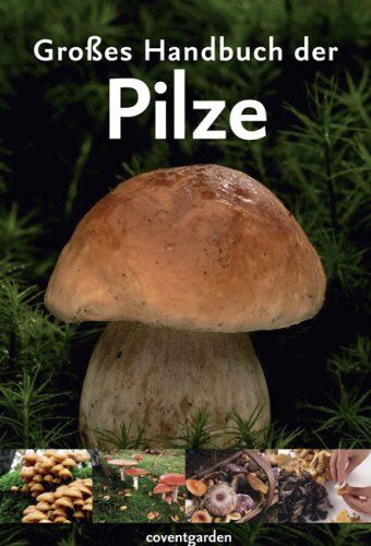 Anna DelConte - Großes Handbuch der Pilze - Preis vom 16.10.2026 11:41:07 h