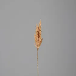 Kunstpflanze PAMPASWEDEL (H 83 cm) - braun - H 83 cm