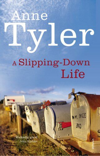 Anne Tyler - A Slipping Down Life (Arena Books) - Preis vom 10.10.2026 11:48:34 h