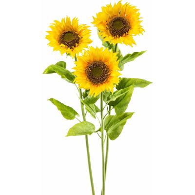 Kunstblume CREATIV GREEN "XL", gelb, H:110cm, Kunststoff, Polyester, Kunstpflanzen