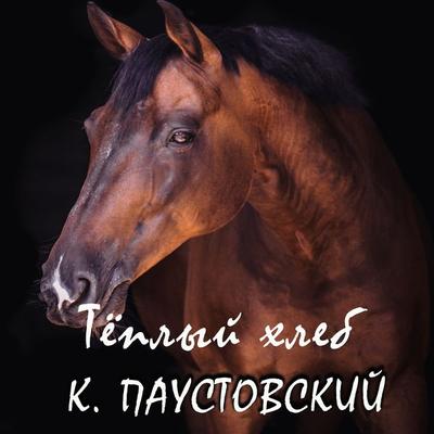 Teplyiy hleb - Konstantin Paustovsky, Audio, 4099995874761