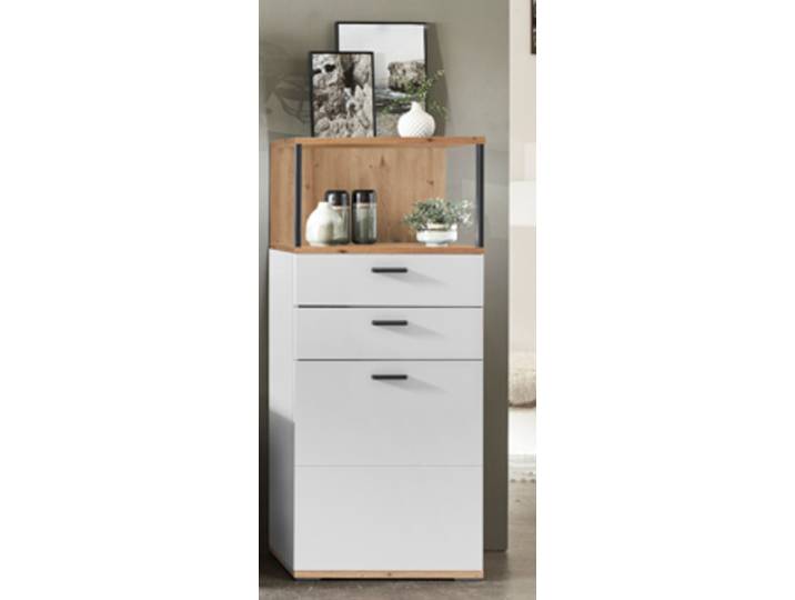 Ideal Basset Vitrine Type 01