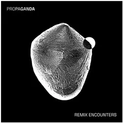 Indigo Press, Schallplatten, Remix Encounters (Propaganda)