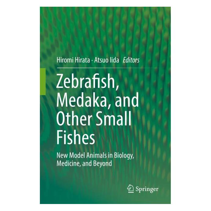 Springer Zebrafish, Medaka, and Other Small Fishes (Englisch, Hardcover, Atsuo Iida, Hiromi Hirata) (61518047)