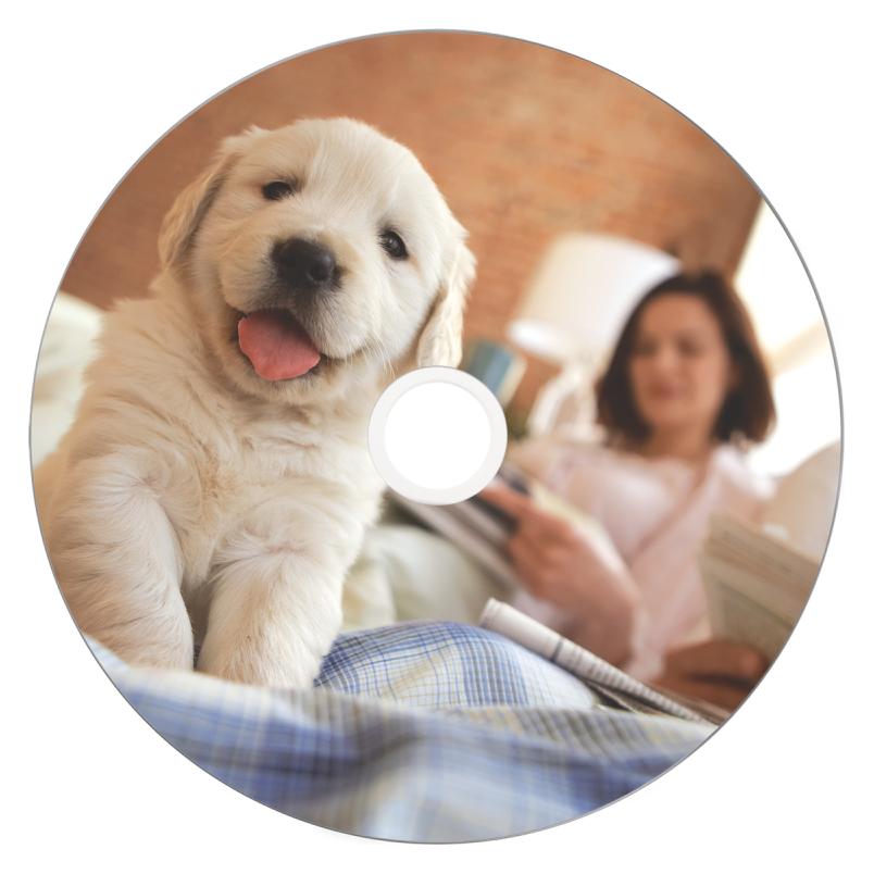 Verbatim Bd-R dl (25x) (43750)