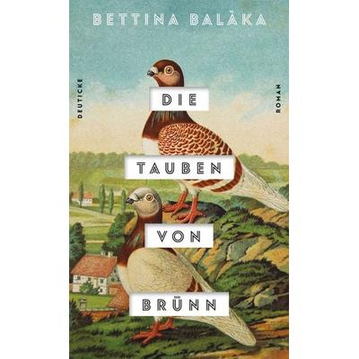 Die Tauben von Brünn, Gebundene Ausgabe von Bettina Balàka, Zsolnay, Paul, 978-3-552-06399-0