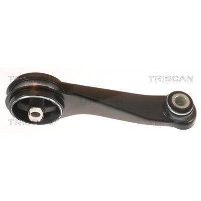 Triscan Lagerung, Motor [Hersteller-Nr. 850525104] für Renault