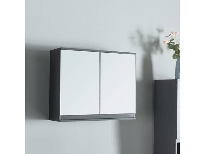 [en.casa] Spiegelschrank Bad Overath Badezimmerschrank Badschrank mit 2 Türen Medizinschrank 60 x 20 x 50 cm Badezimmer Spiegelschrank hängend Hängeschrank Aufbewahrungsschrank Grau