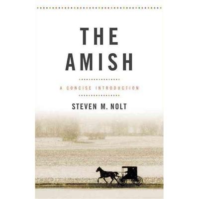 The Amish, Taschenbuch von Steven M. Nolt, Johns Hopkins University Press, 978-1-4214-1956-5