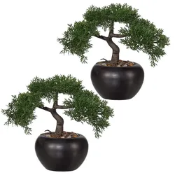 CREATIV green künstliche Pflanze Bonsai Zeder, ca 26cm, 2er Set